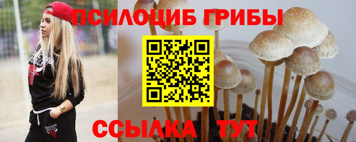 Галлюциногенные грибы GOLDEN TEACHER Славянск-на-Кубани